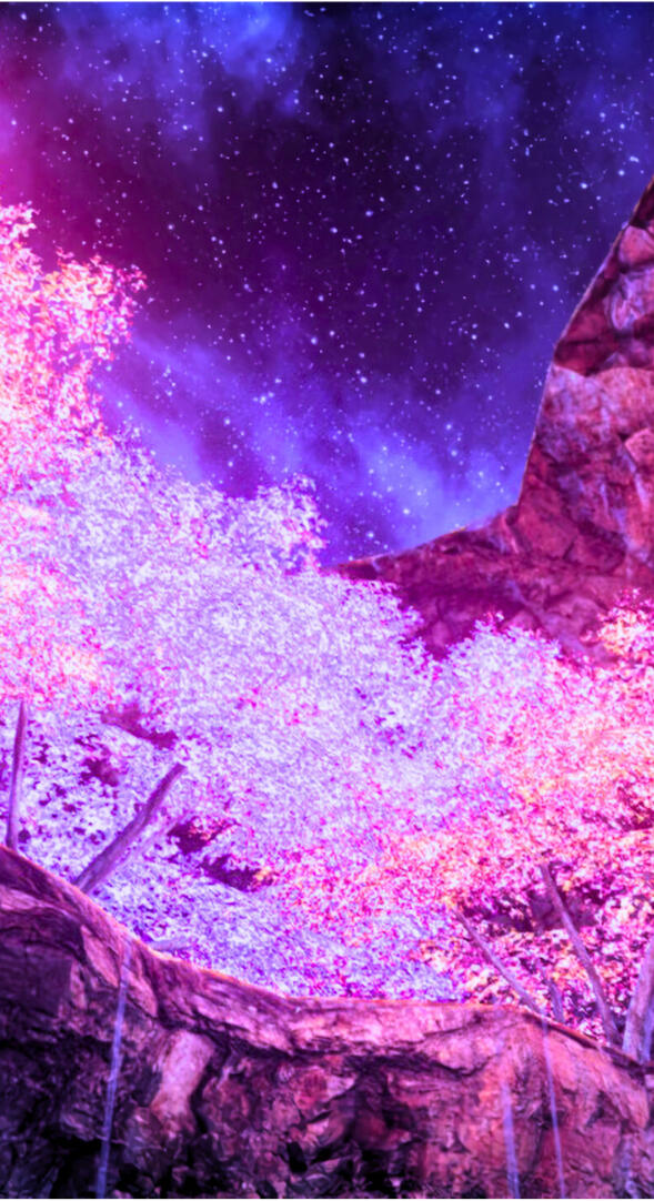 mio from xenoblade, a gray haired catgirl, yells